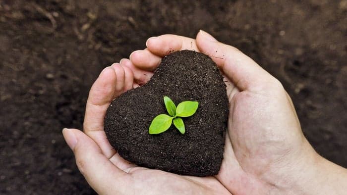 Usein vähän on parempi kuin paljon harvoin